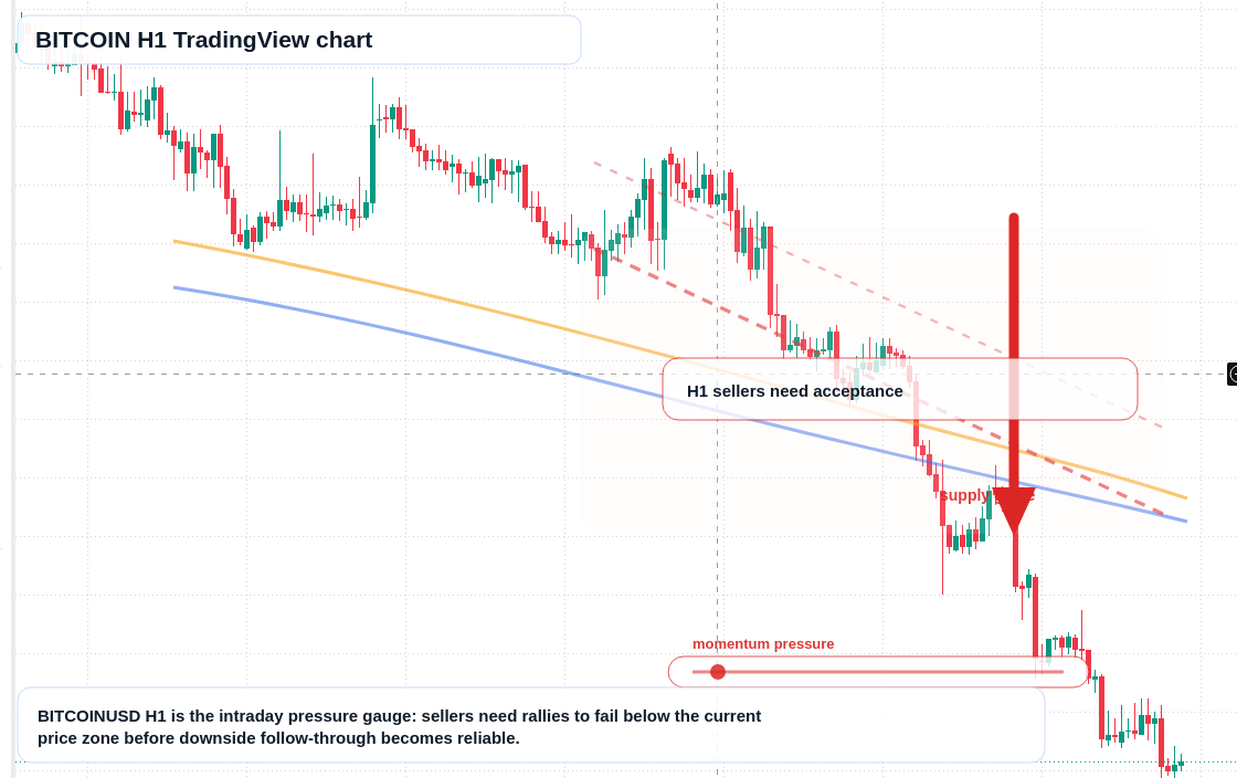 BITCOIN H1 candlestick chart