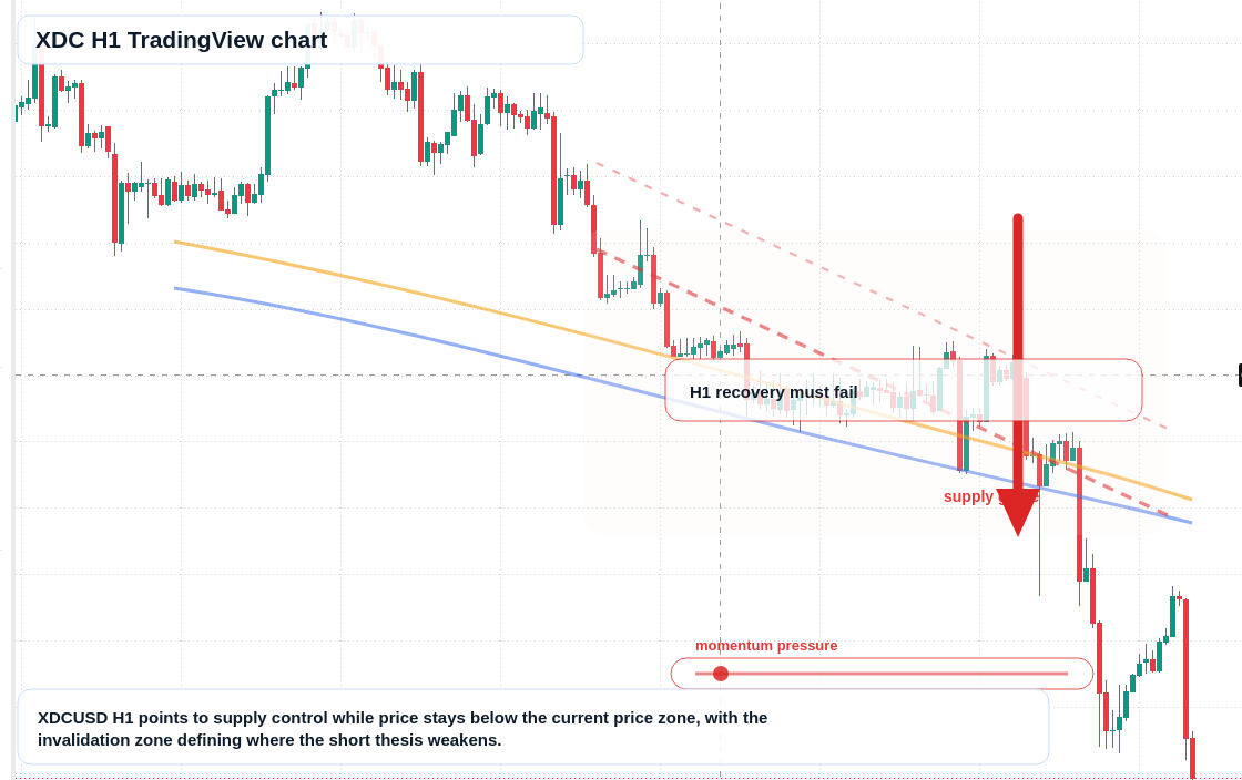 XDC market snapshot