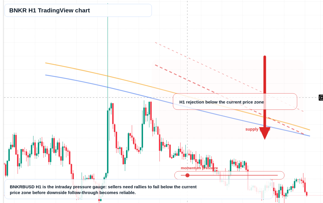 BNKR market snapshot