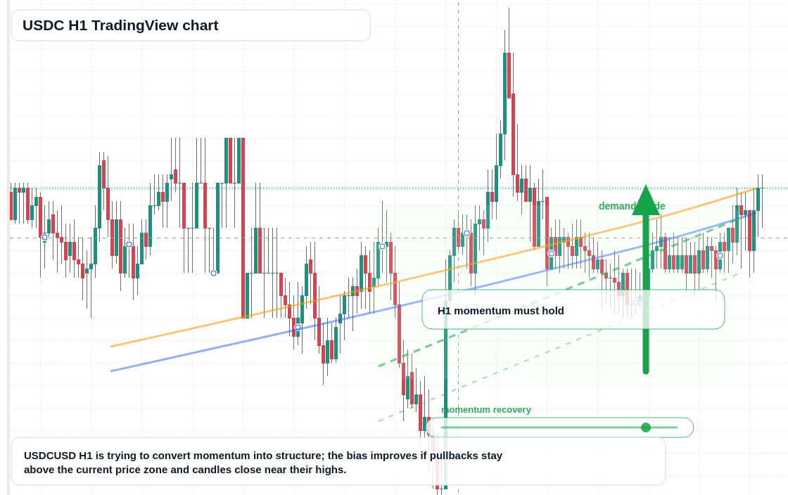 USDC market snapshot