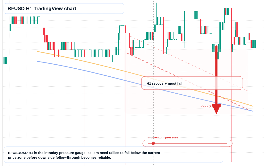 BFUSD market snapshot