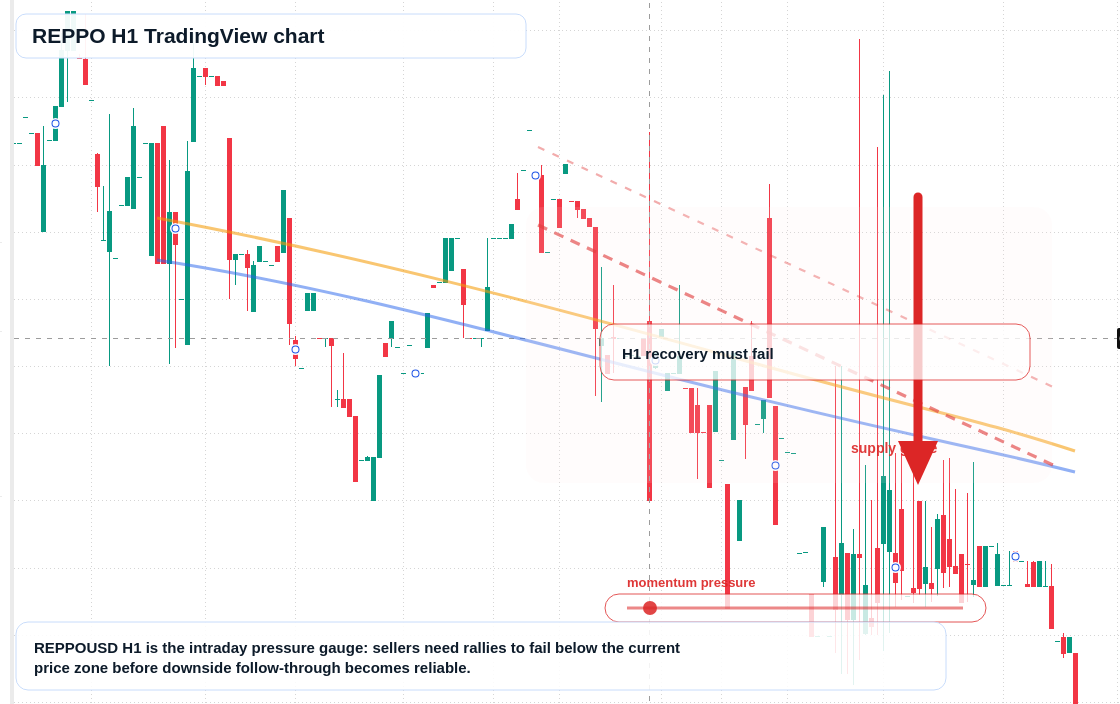 REPPO market snapshot