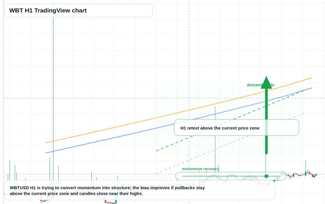WBT market snapshot