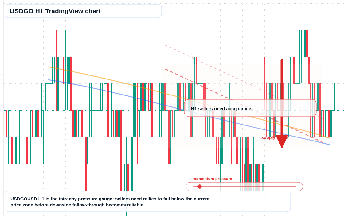 USDGO market snapshot