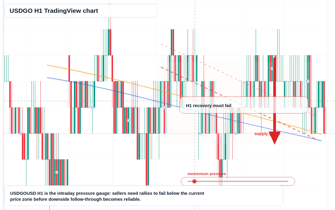 USDGO market snapshot