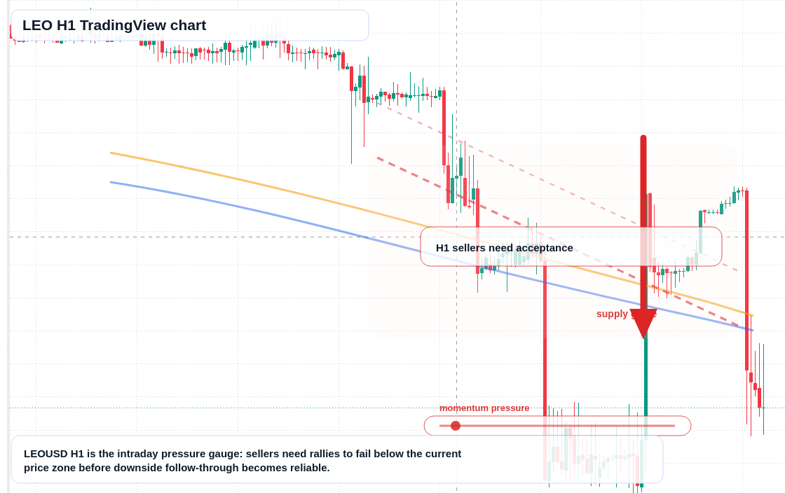LEO market snapshot