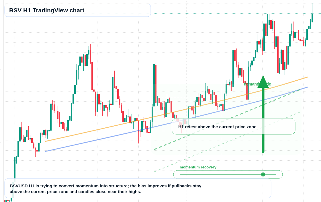 BSV market snapshot
