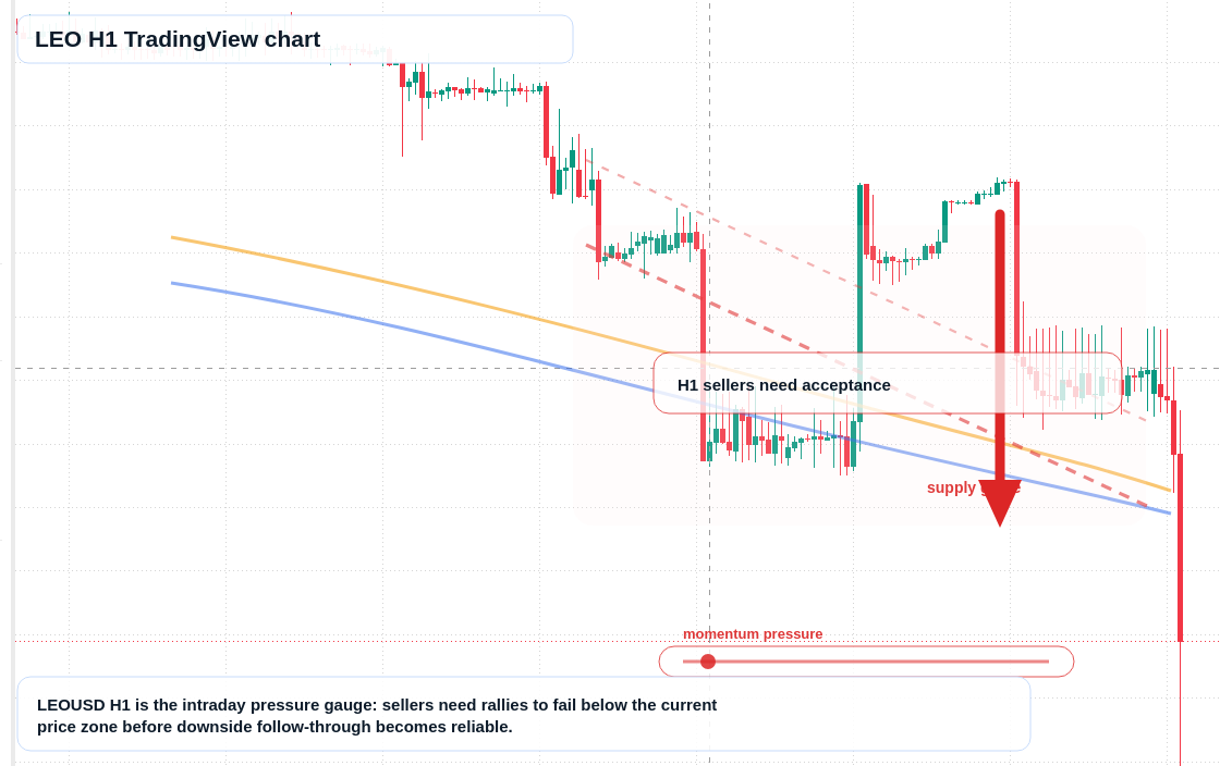 LEO market snapshot