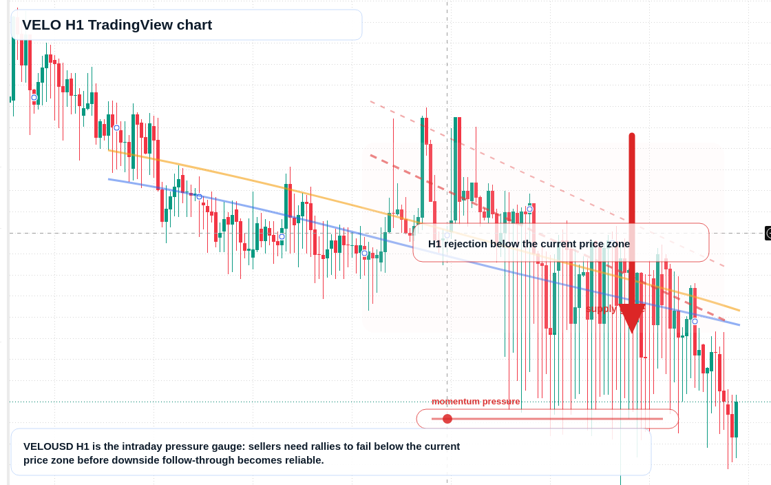 VELO market snapshot