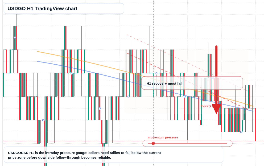 USDGO market snapshot