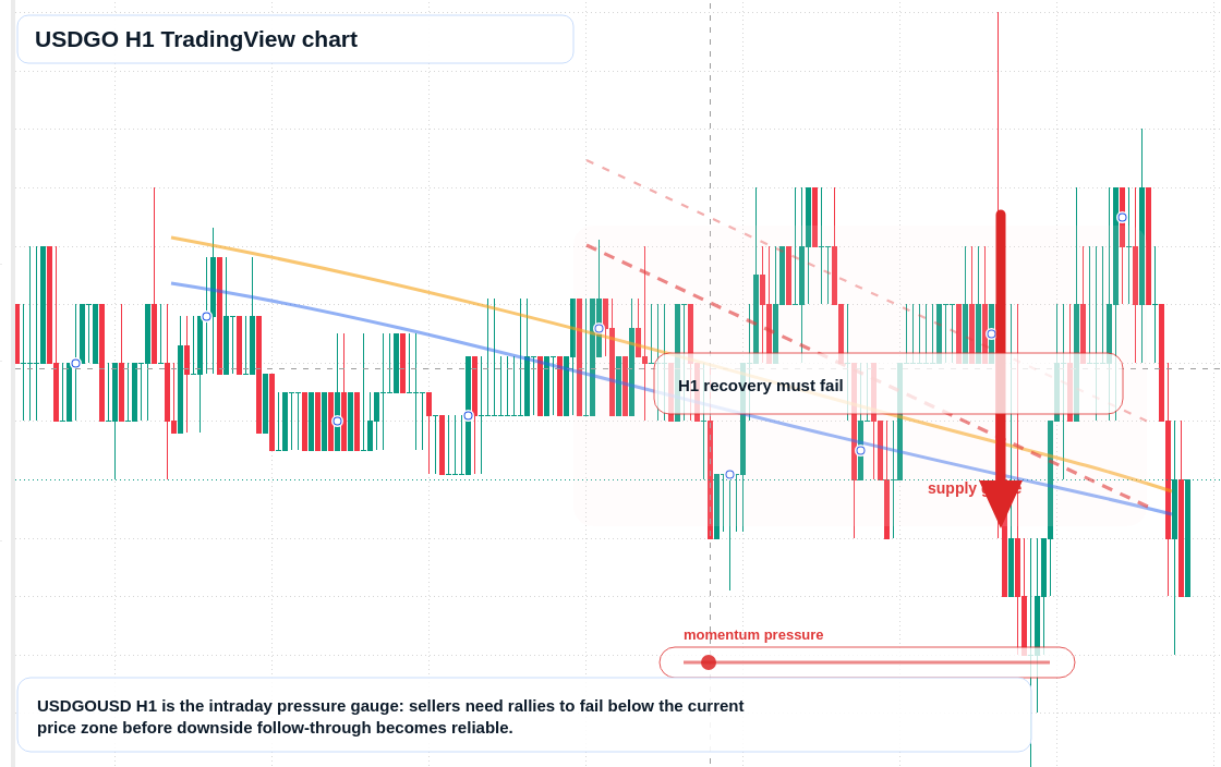 USDGO market snapshot