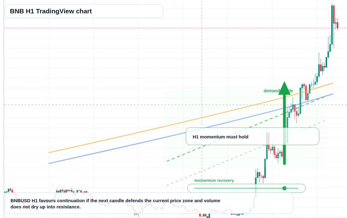 BNB market snapshot