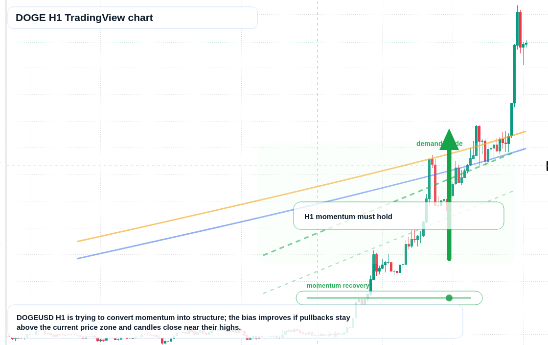 DOGE market snapshot