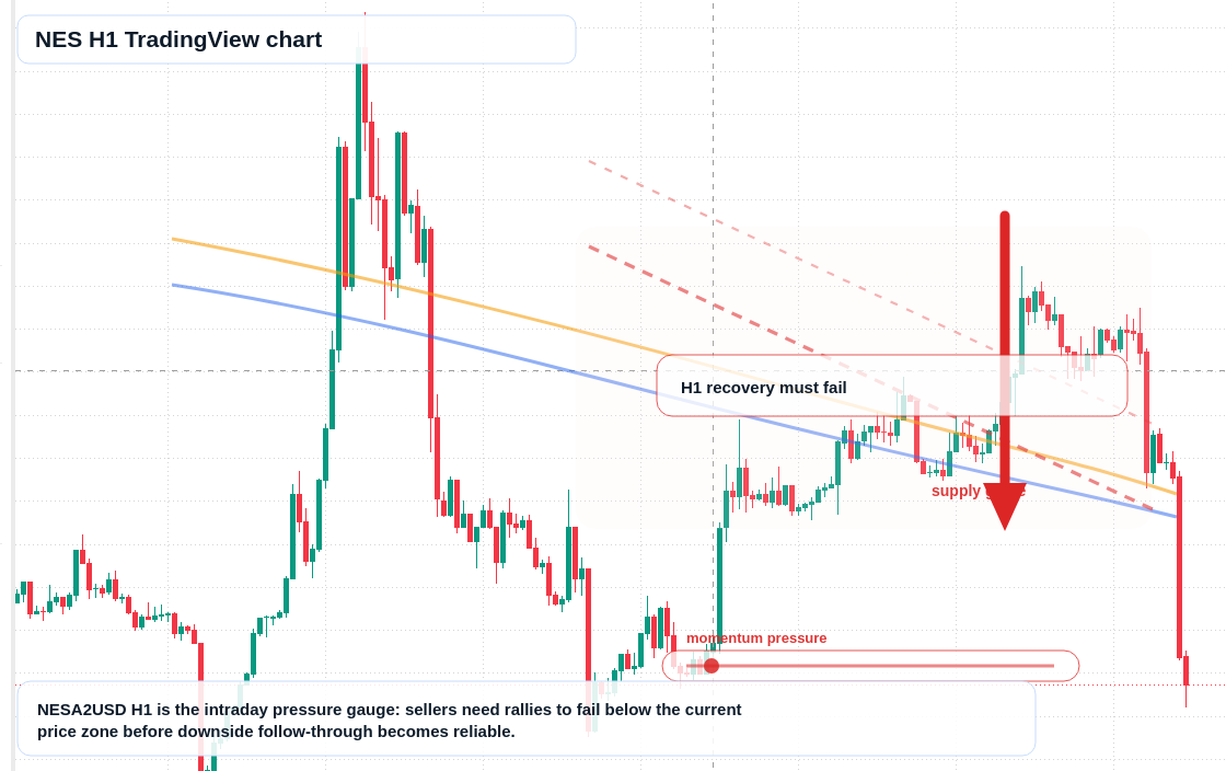 NES market snapshot