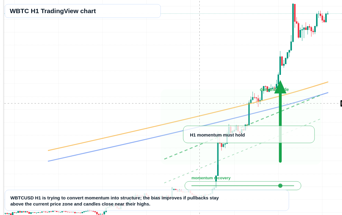 WBTC market snapshot