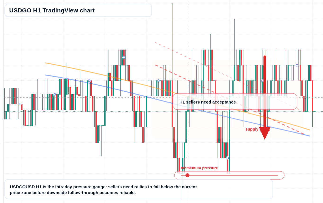 USDGO market snapshot