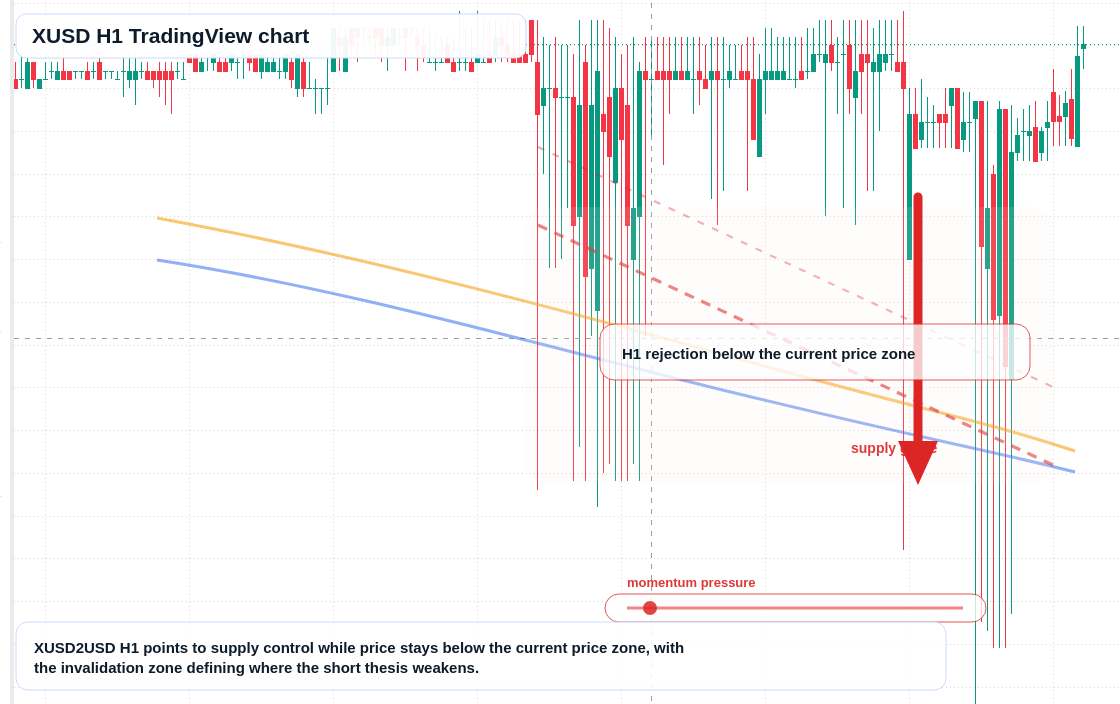 XUSD market snapshot